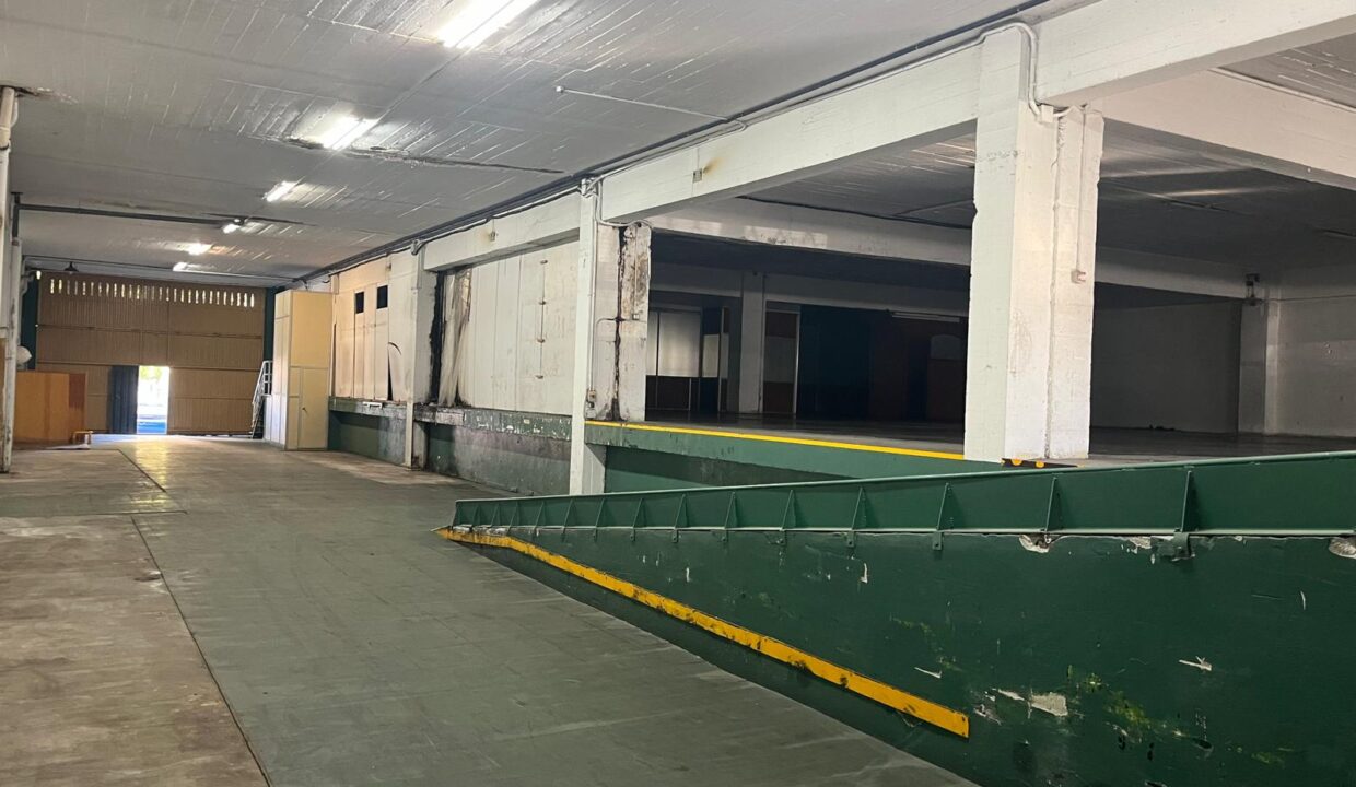 WhatsApp-Image-2024-09-25-at-11.08.00-2