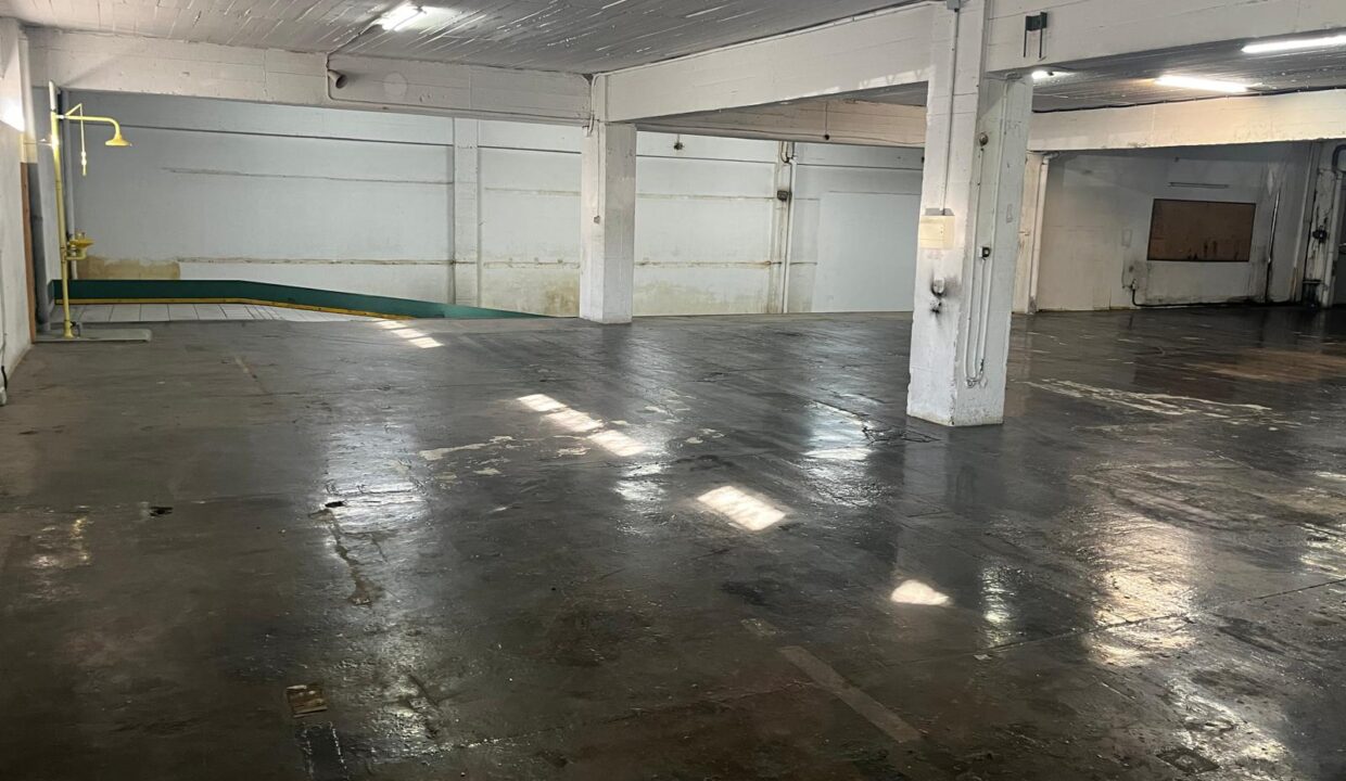 WhatsApp-Image-2024-09-25-at-11.08.01-1