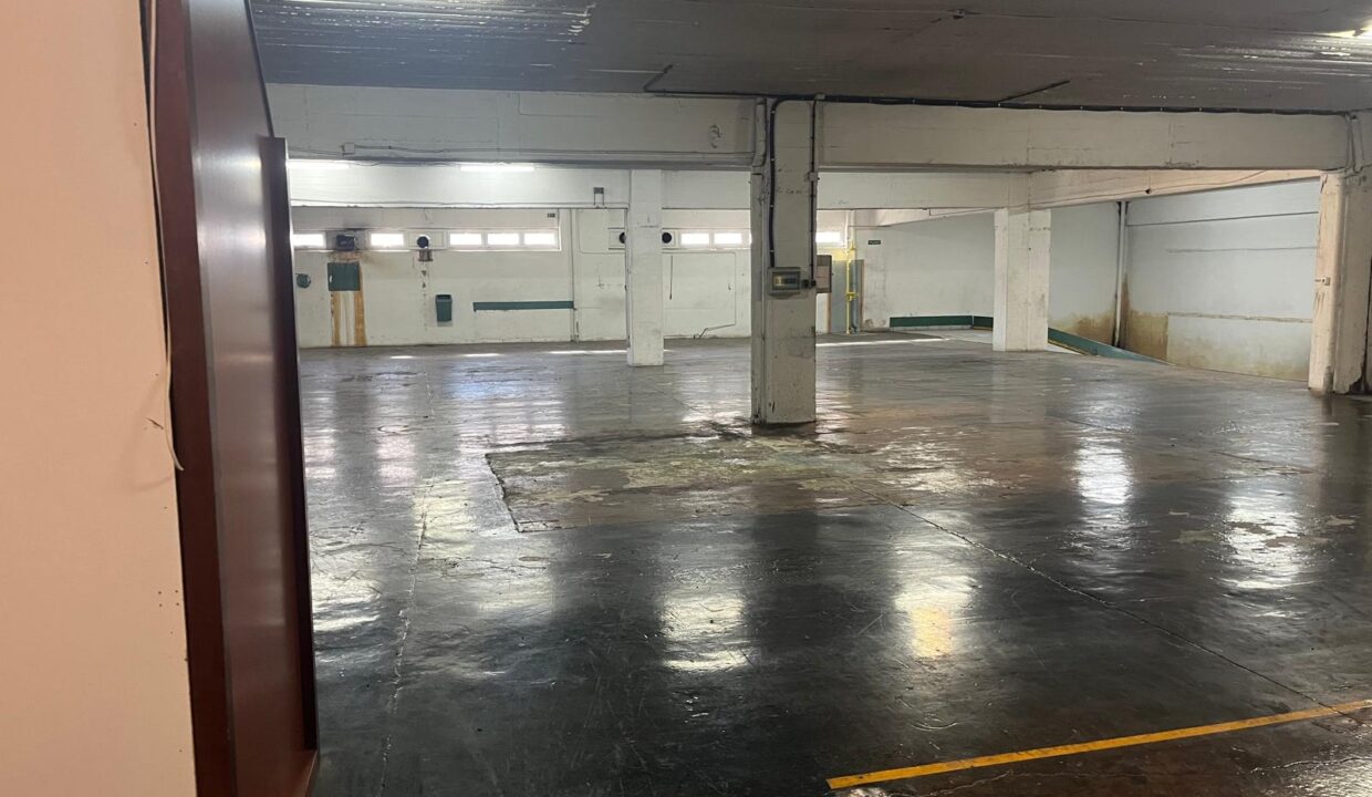 WhatsApp-Image-2024-09-25-at-11.08.04-2