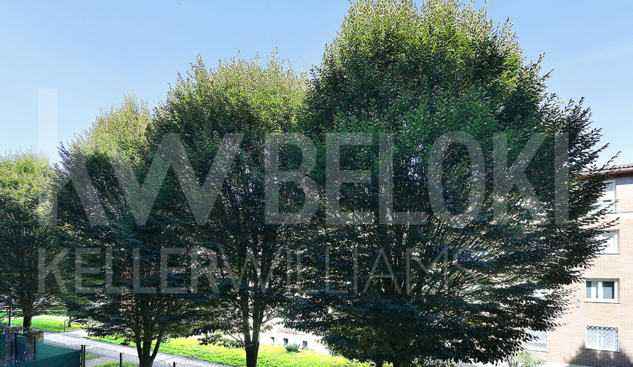 roberto-BelokiP1737-12-M