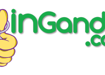 Ingandia_logo
