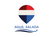 Remax Agua Salada_logo