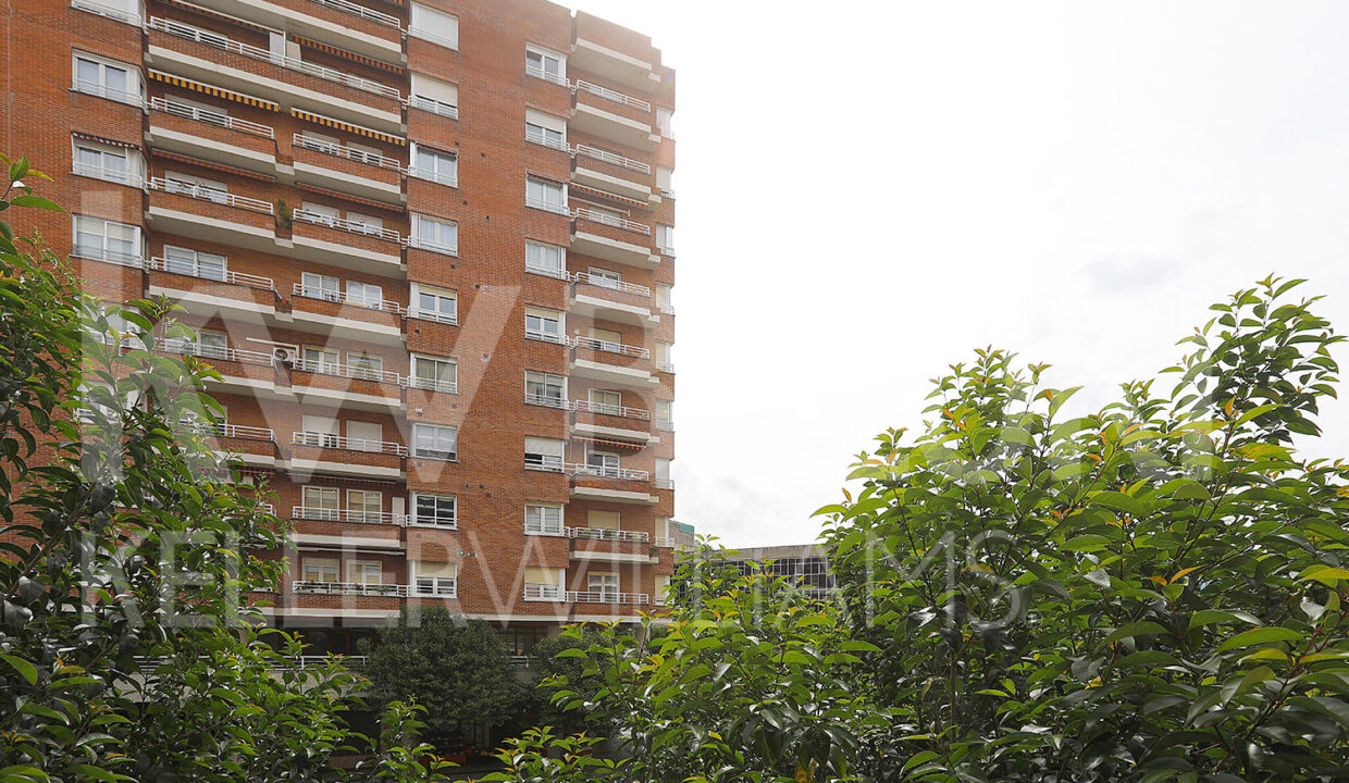 Beloki-DP1797-8-M