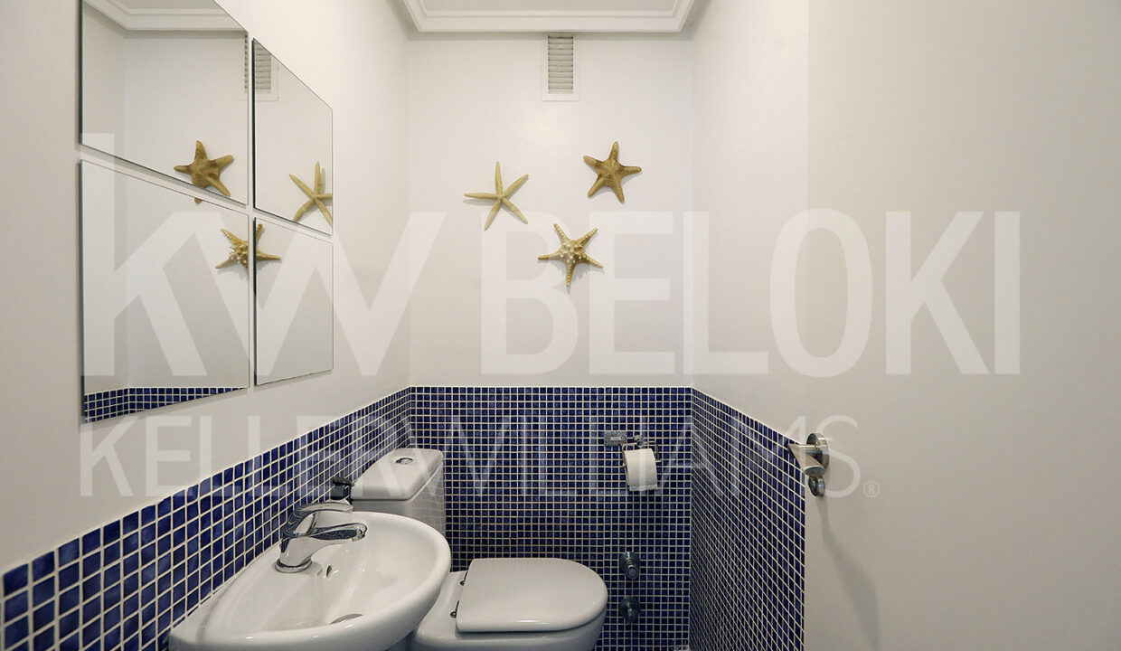 Beloki-DP1799-19-M
