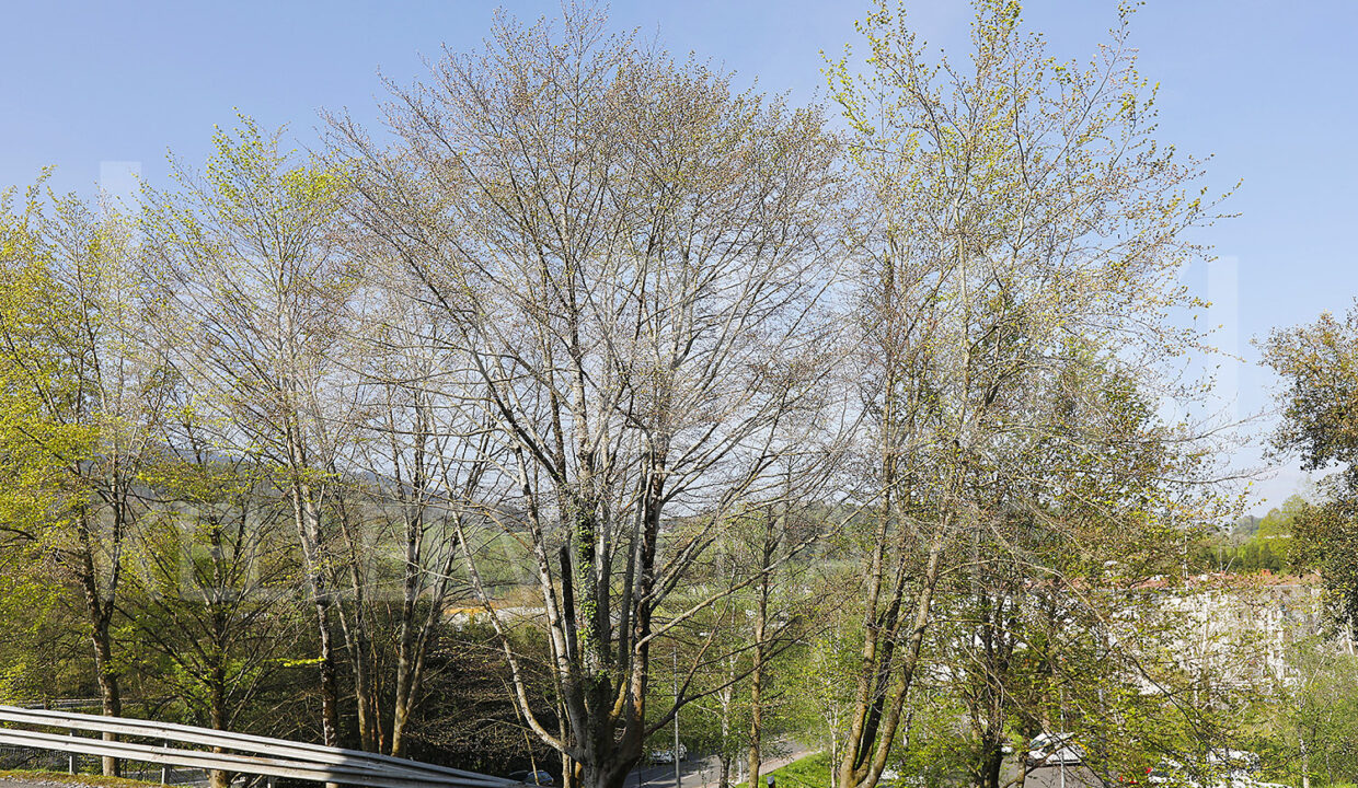 DP1791-19-M