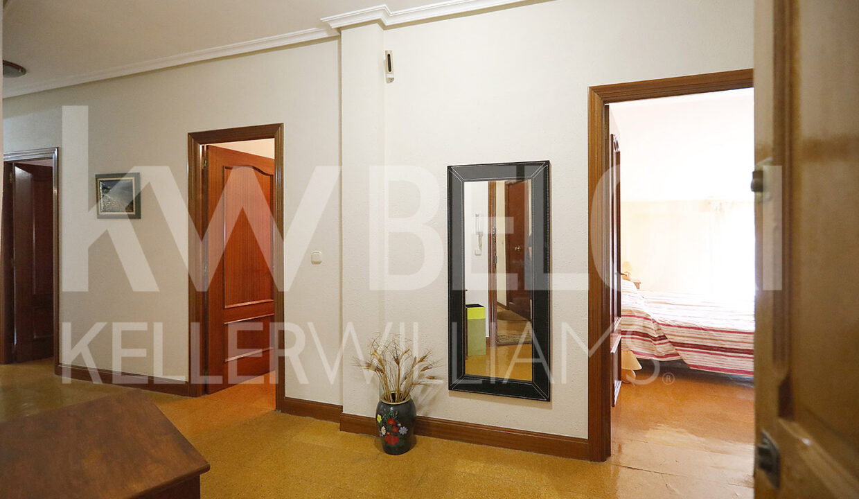 Beloki-PP1704-1-M