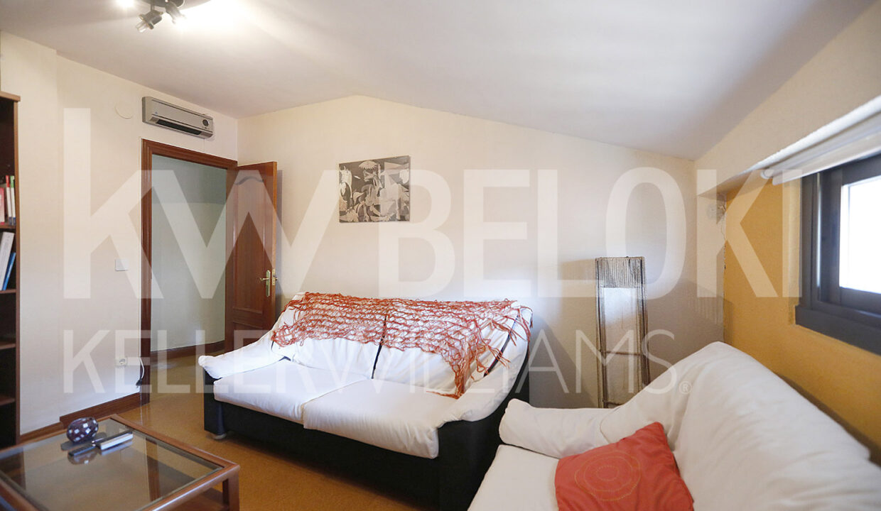 Beloki-PP1704-7-M